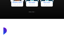 islamtradersbd-com-–-Monirul-shipping-lines