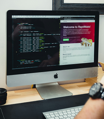 web-development services image Dreamlabit